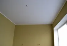 Який натяжна стеля краще матовий або глянсовий відгуки та фото, що краще, як зробити вибір і