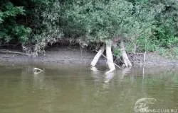 Як спіймати головня на спінінг тонкощі і секрети лову (спінінг) Як спіймати головня на спінінг тонкощі і секрети лову