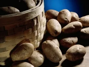 Як побудувати сарай для кроликів (сарай) Як побудувати сарай для кроликів