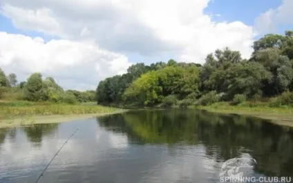 Як спіймати головня на спінінг тонкощі і секрети лову (головня) Як спіймати головня на спінінг тонкощі і секрети лову