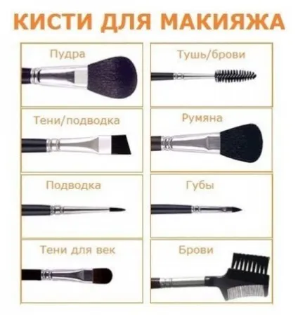 Як правильно використовувати кисті для макіяжу (кистей) Як правильно використовувати кисті для макіяжу