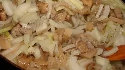 Як приготувати піцу з грибами (грибами) Як приготувати піцу з грибами