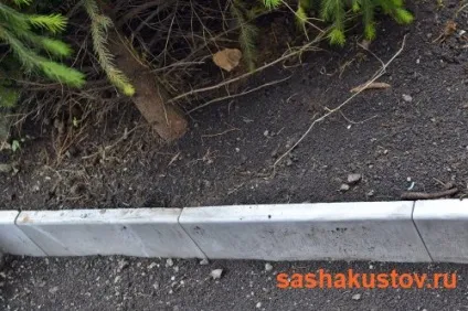 Як правильно вибрати і встановити поребрик або садовий бордюр (як встановлювати садовий бордюр) Як правильно вибрати і встановити поребрик або садовий бордюр