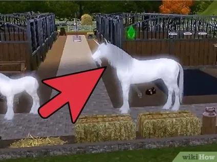Як прийняти єдинорога в сім'ю в the sims 3 вихованці (пк) (сім'ю) Як прийняти єдинорога в сім'ю в the sims 3 вихованці (пк)