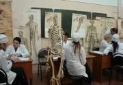 Як здати анатомію