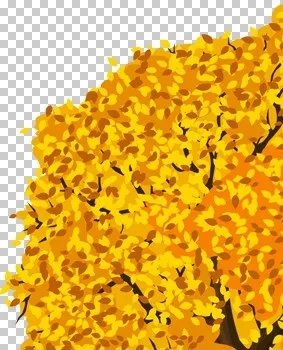Як зробити календар природи, країна майстрів (зробити календар природи) Як зробити календар природи, країна майстрів