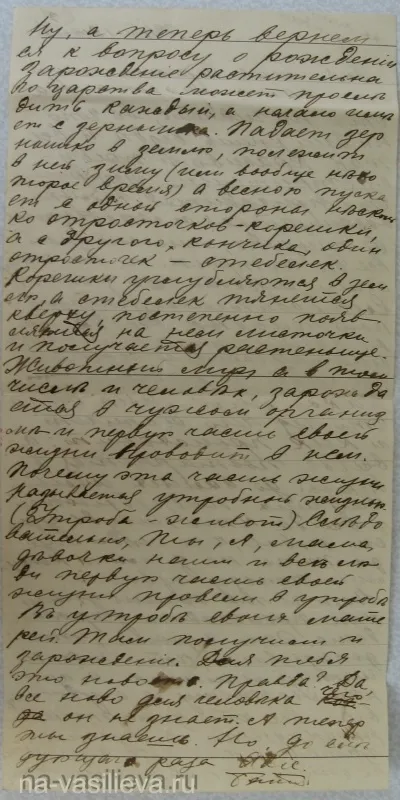 Як народжуються діти