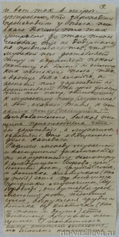 Як народжуються діти
