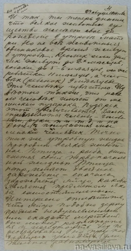 Як народжуються діти