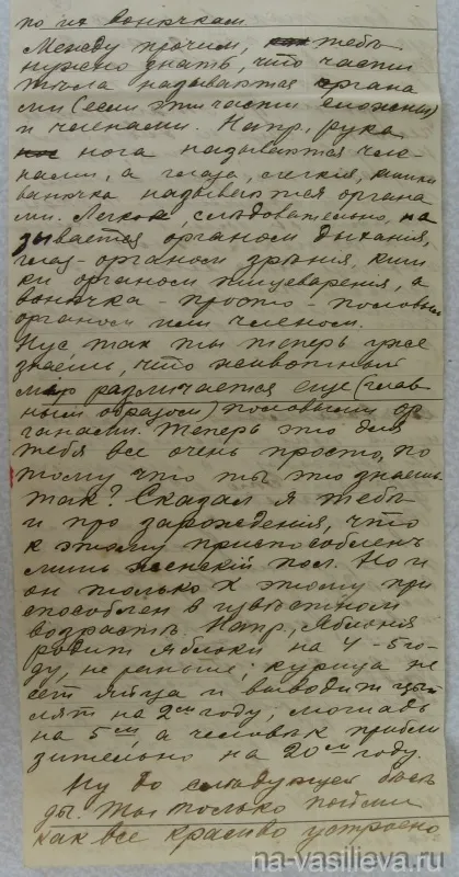 Як народжуються діти