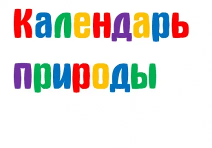 Як зробити календар природи, країна майстрів (аплікація) Як зробити календар природи, країна майстрів