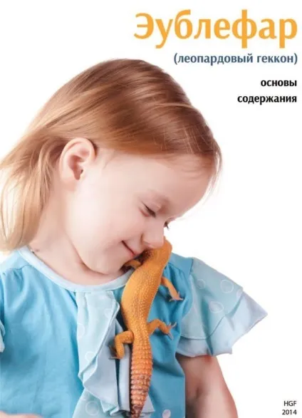 Як зробити тераріум