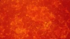 Як скоро чекати результатів від відвідування тренажерного залу - як правильно побудувати заняття в (відвідування) Як скоро чекати результатів від відвідування тренажерного залу - як правильно побудувати заняття в