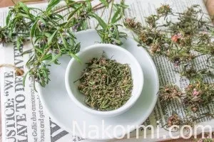 Як сушити чебрець в домашніх умовах рецепт з фото
