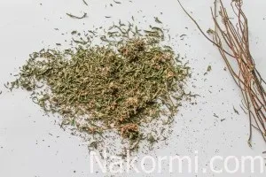 Як сушити чебрець в домашніх умовах рецепт з фото