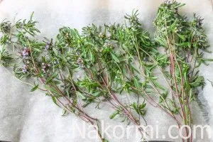 Як сушити чебрець в домашніх умовах рецепт з фото