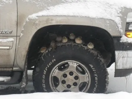 Як поліпшити добробут