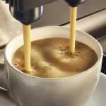 Як виростити каву вдома, coffeemap (будинку) Як виростити каву вдома, coffeemap