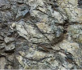 Як випити і залишитися тверезим (Австралопітек неандерталець кроманьонец порівняльна) Як випити і залишитися тверезим