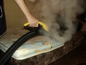 Як вивести клопів з квартири методи виведення клопів в домашніх умовах, народні та хімічні (методи) Як вивести клопів з квартири методи виведення клопів в домашніх умовах, народні та хімічні