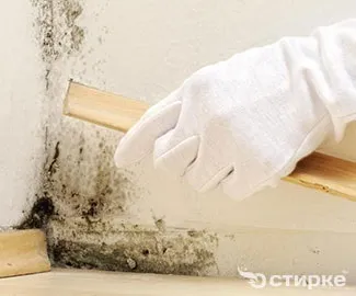 Як вивести пляму від кави з одягу, м'яких меблів і килима (вивести) Як вивести пляму від кави з одягу, м'яких меблів і килима
