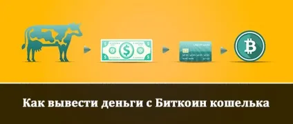 Як вивести гроші з біткоіни гаманця (гроші) Як вивести гроші з біткоіни гаманця