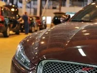 Як захистити і очистити кузов автомобіля від тополиного нирок, практичні поради, авто, аргументи і