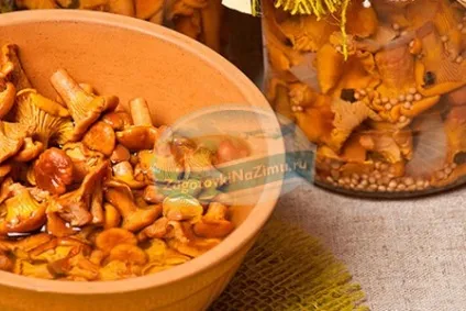 Як замаринувати гриби кращі рецепти з фото (як замаринувати гриби на зиму в банках) Як замаринувати гриби кращі рецепти з фото