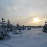 Коли вже почнуться лижі, Танюшкіной (кататися на лижах) Коли вже почнуться лижі, Танюшкіной