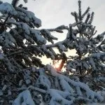 Коли вже почнуться лижі, Танюшкіной (лижі) Коли вже почнуться лижі, Танюшкіной