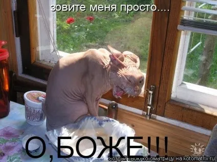 кішки жахливі