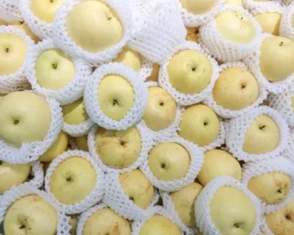 Коли знімати груші з дерева як визначити стиглість, як зберігати груші