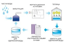Крапельний полив своїми руками схема зрошення (краплинний) Крапельний полив своїми руками схема зрошення