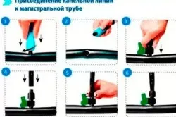 Крапельний полив своїми руками схема зрошення (зрошення) Крапельний полив своїми руками схема зрошення