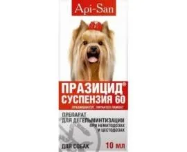Катаракта у кішок, котів і собак лікування і симптоми, фото (собак) Катаракта у кішок, котів і собак лікування і симптоми, фото