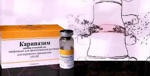 Карипазим при грижі хребта опис і способи застосування препарату, ціна, відгуки пацієнтів (препарату) Карипазим при грижі хребта опис і способи застосування препарату, ціна, відгуки пацієнтів