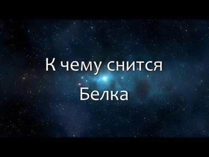 До чого сниться білка жінці - сонник