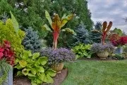 Клумба на дачі 30 кращих ландшафтних рішень своїми руками (рослини які цвітуть) Клумба на дачі 30 кращих ландшафтних рішень своїми руками