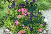 Клумба на дачі 30 кращих ландшафтних рішень своїми руками (рослини які цвітуть) Клумба на дачі 30 кращих ландшафтних рішень своїми руками