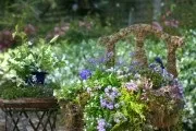 Клумба на дачі 30 кращих ландшафтних рішень своїми руками (рослини які цвітуть) Клумба на дачі 30 кращих ландшафтних рішень своїми руками