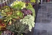 Клумба на дачі 30 кращих ландшафтних рішень своїми руками (клумба) Клумба на дачі 30 кращих ландшафтних рішень своїми руками