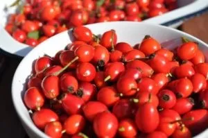 Коли давати шипшина грудничку користь напою і рецепт приготування (користь) Коли давати шипшина грудничку користь напою і рецепт приготування