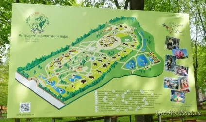 Київський зоопарк мій відгук про відвідування зоопарку (зоопарк) Київський зоопарк мій відгук про відвідування зоопарку