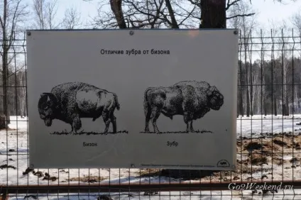 Київський зоопарк мій відгук про відвідування зоопарку (звірі) Київський зоопарк мій відгук про відвідування зоопарку