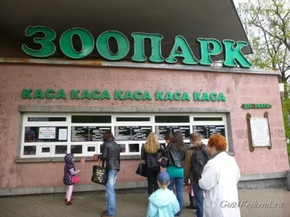 Київський зоопарк мій відгук про відвідування зоопарку (тварини в киеве) Київський зоопарк мій відгук про відвідування зоопарку