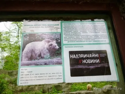 Київський зоопарк мій відгук про відвідування зоопарку (природа) Київський зоопарк мій відгук про відвідування зоопарку