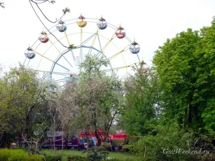 Київський зоопарк мій відгук про відвідування зоопарку (тварини в киеве) Київський зоопарк мій відгук про відвідування зоопарку