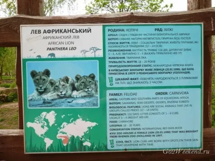 Київський зоопарк мій відгук про відвідування зоопарку (зоопарк в киеве) Київський зоопарк мій відгук про відвідування зоопарку
