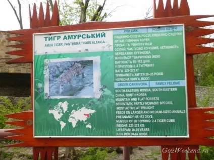 Київський зоопарк мій відгук про відвідування зоопарку (тварини в киеве) Київський зоопарк мій відгук про відвідування зоопарку