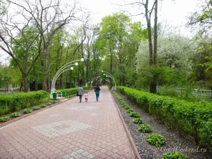Київський зоопарк мій відгук про відвідування зоопарку (зоопарк в киеве) Київський зоопарк мій відгук про відвідування зоопарку